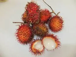 Rambutan (Monkey Apple)