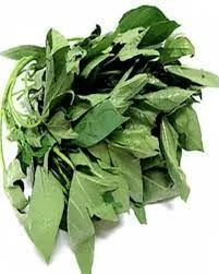 Bitter Leaf