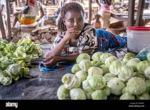 Cabbage