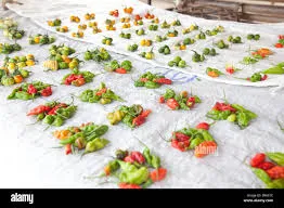 Fresh Pepper