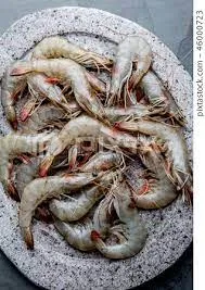 Shrimps