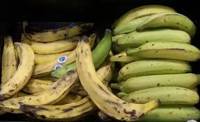 Plantain
