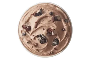 OREO® Fudge Brownie BLIZZARD® Treat