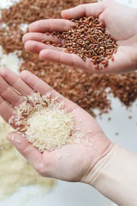 Sabudana grains