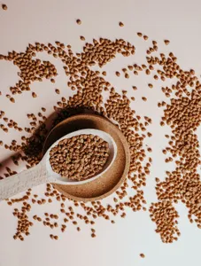 Buckwheat