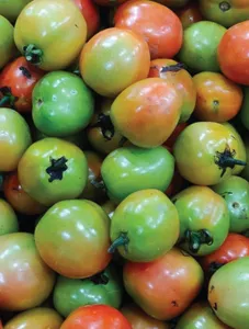 Tomatoes/Kamatis