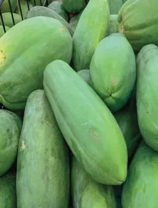 Raw Papaya/Hilaw na Papaya