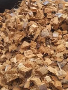 Coco Chip