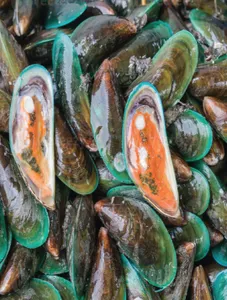 Kupang/Mussels