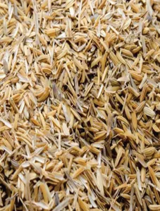 Rice Hull