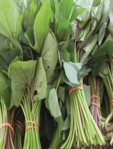 Sweet Potato Leaves/Galay