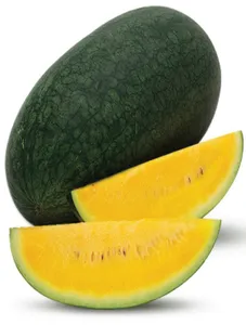 Sweet Gold Melon
