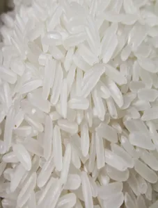 Jasmine Rice