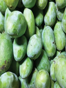 Mango Apple (Unripe)