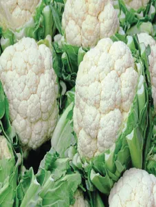 Cauliflower