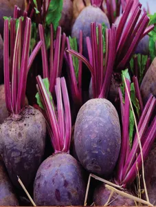 Beetroot