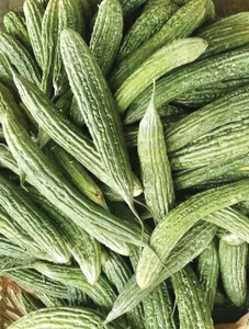 Bitter Melon (Ampalaya)