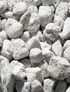 Pumice