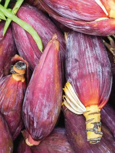 Banana Blossom/Puso