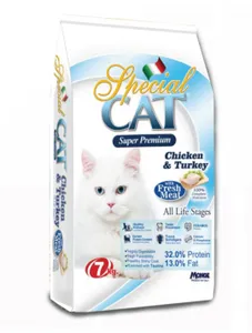 Special Cat