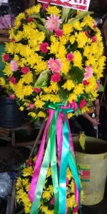 Opening Flowers