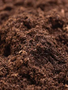 Garden Soil