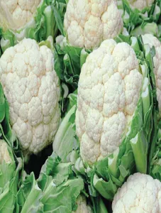 Cauliflower