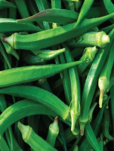 Lady's Finger/Okra
