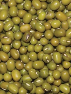 Munggo Beans