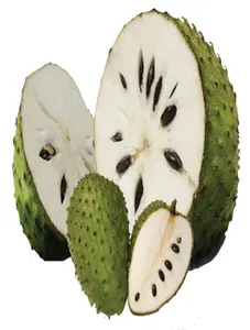 Soursop/Guyabano