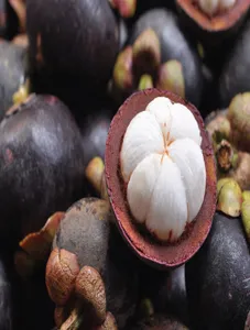 Mangosteen