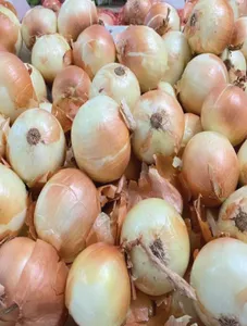 White Onion