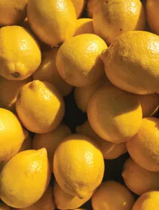 Lemon