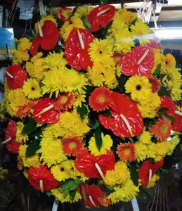 Opening Flowers