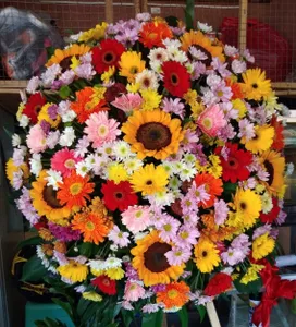 Opening Flowers