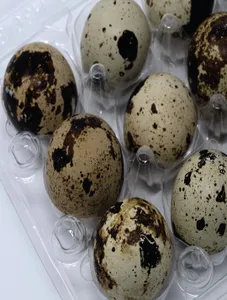 Egg (Quail)