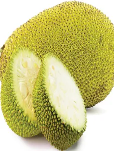 Jackfruit/Langka
