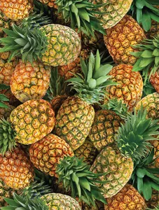 Pineapple