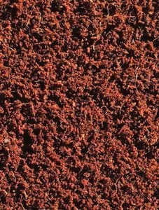 Coco Peat