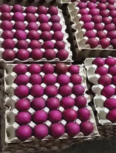 Egg (Salted)