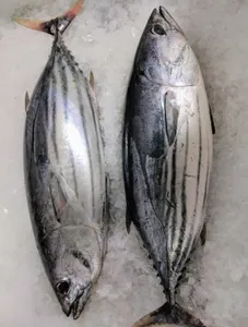 Barilis