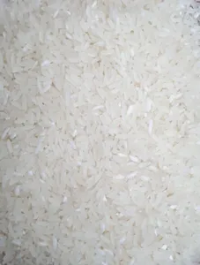 160 Rice