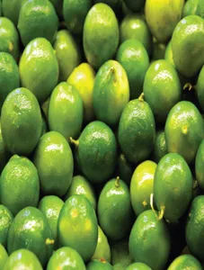 Lime/Calamansi