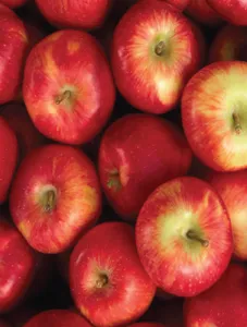 Apples