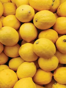 Lemon