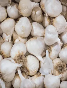 Garlic/Ahos