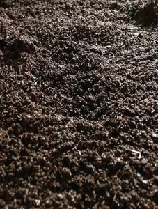 Vermicast Soil