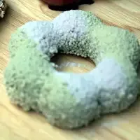 Matcha Donut
