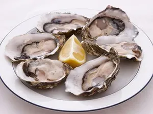EAST COAST OYSTERS