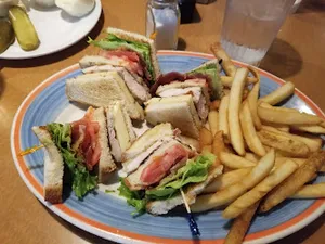 Grilled Chicken Club Sandwich